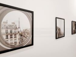 The Champagne (D14), Apartment #474146851